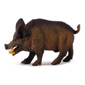 COLLECTA Diviak